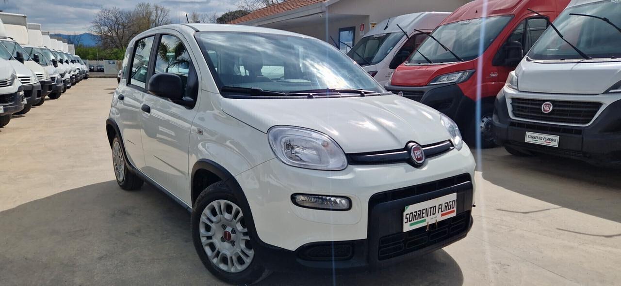 Fiat Panda 1.0 FireFly S&S Hybrid City Life