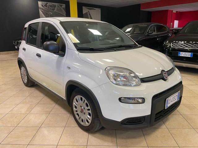 FIAT Panda 1.0 FireFly S&S Hybrid-PREZZO +IVA