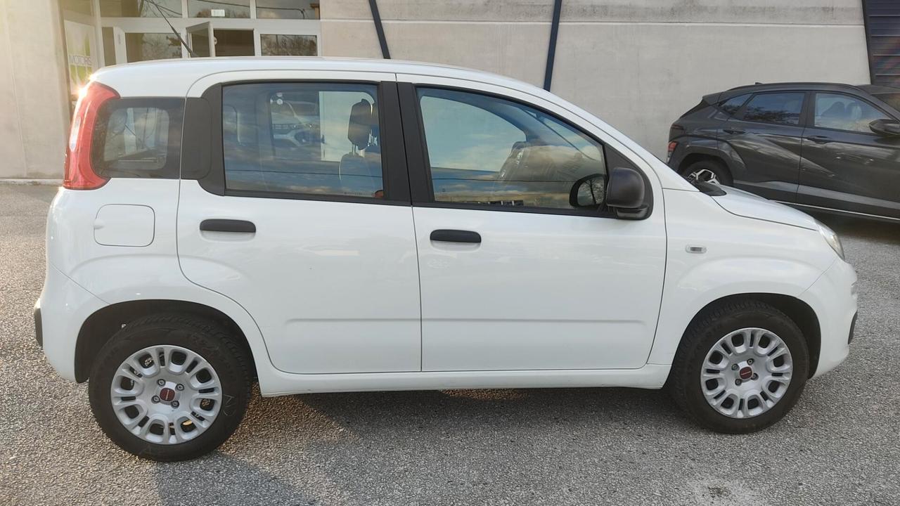 Fiat Panda 1.2 Easy