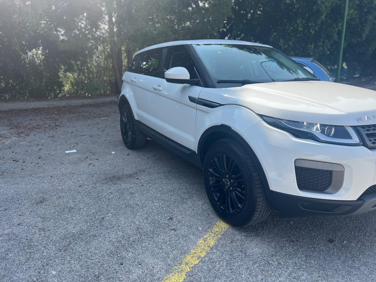 Land Rover Range Rover Evoque Range Rover Evoque 2.0 TD4 150 CV 5p. SE