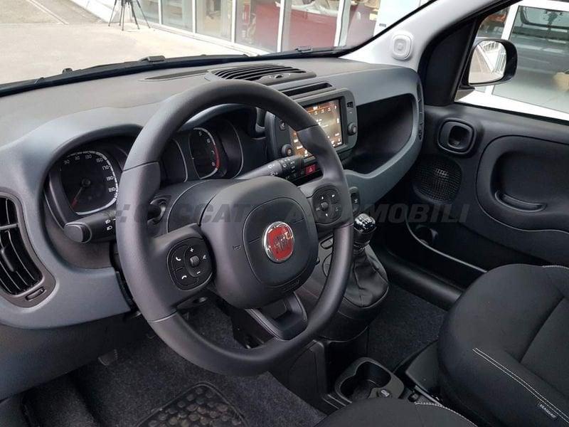 FIAT Panda Cross Panda 1.0 firefly hybrid Cross s&s 70cv 5p.ti