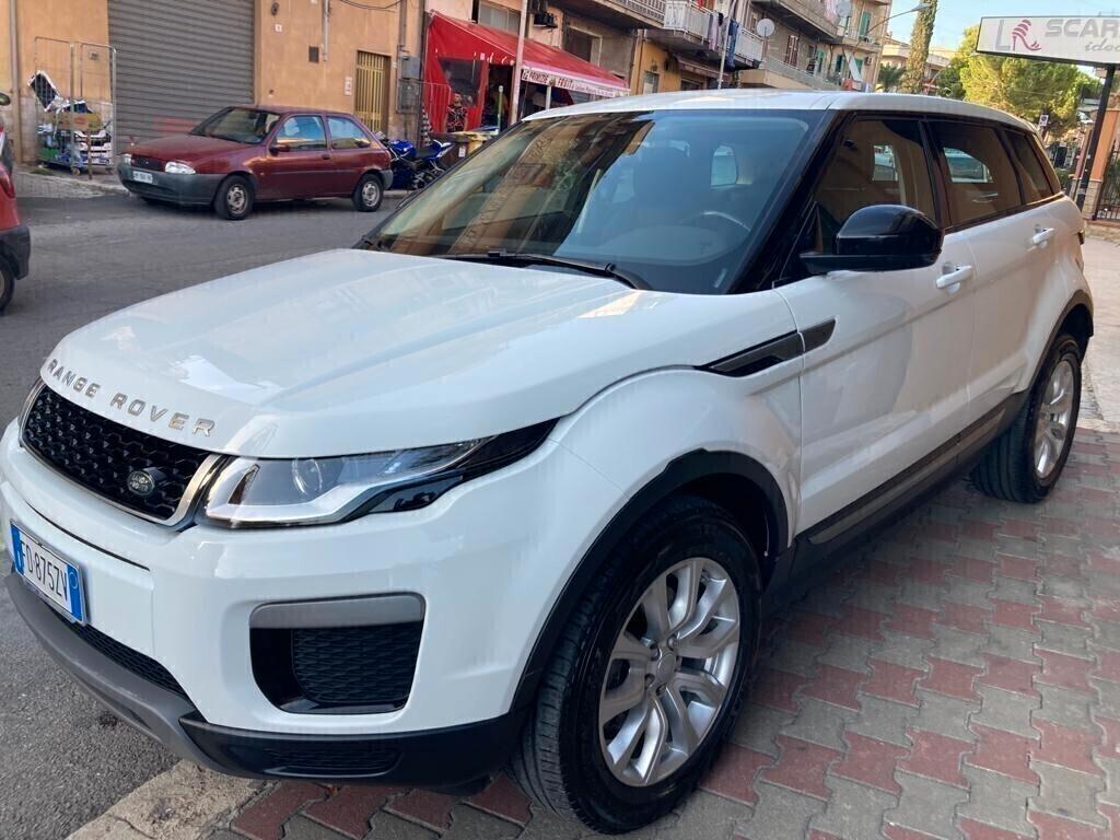 Range Rover Evoque 2.0 TD4 150 CV 5p. Business Edition Pure
