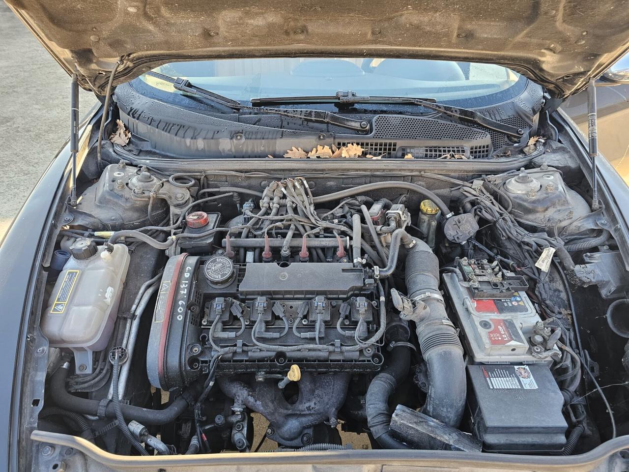 Alfa Romeo 147 1.6 16V TS (105) 5 porte Black Line + GPL