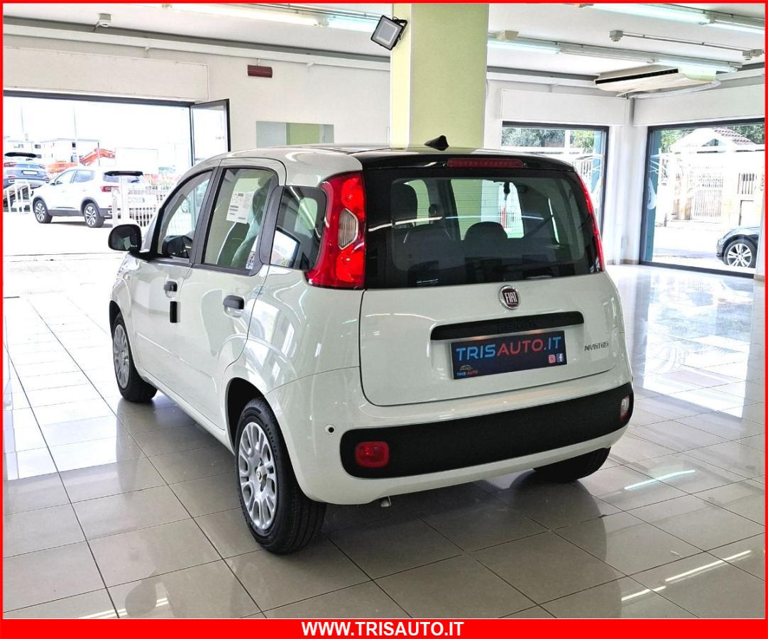 FIAT Panda 1.0 FireFly S&S Hybrid 5p.ti NEOPATENTATI