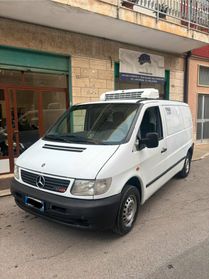 MERCEDES VITO COIBENTATO CON CERTIFICATO ATP FRIGO