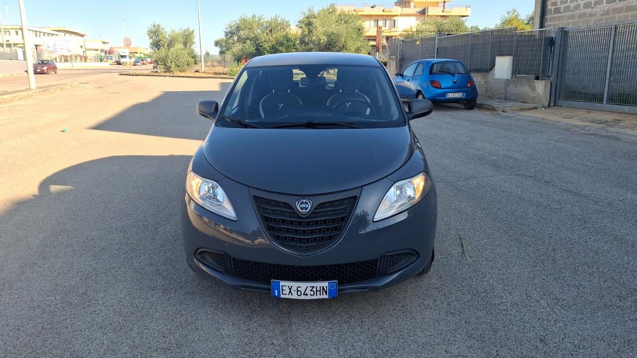Lancia Ypsilon 1.2 69 CV 5 porte S&S Elefantino