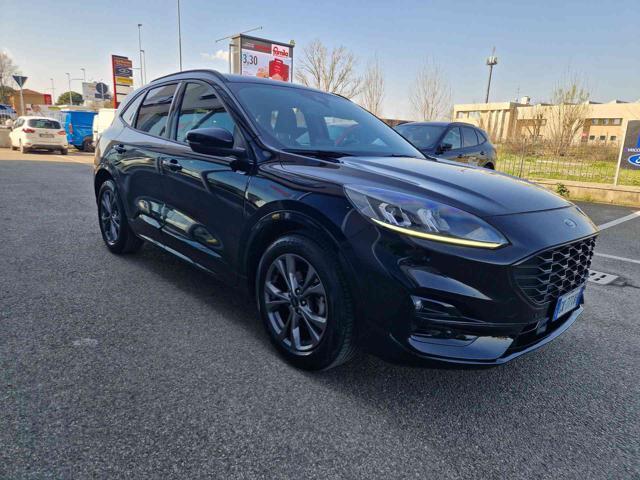 FORD Kuga 1.5 EcoBlue 120 CV 2WD ST-Line