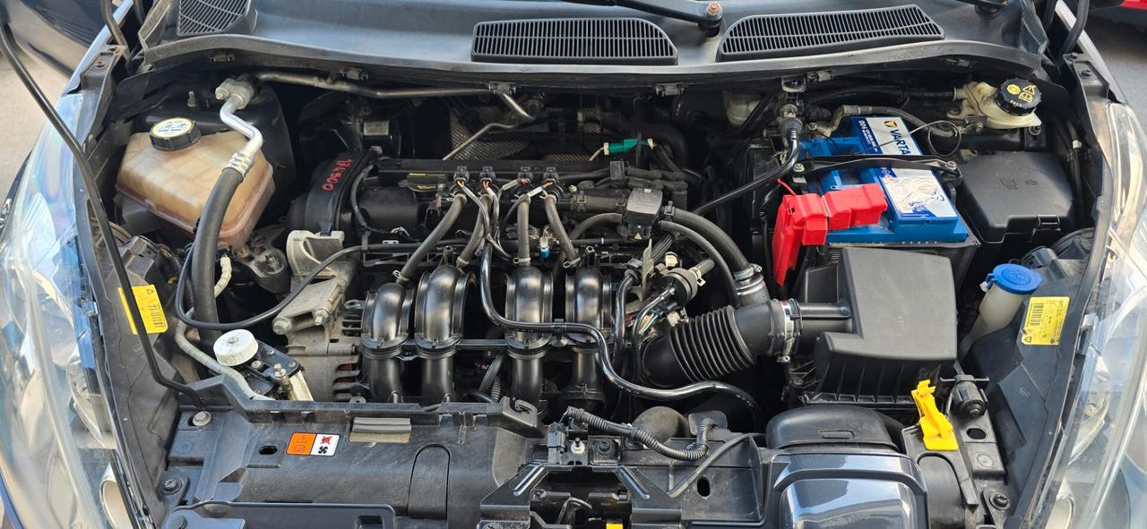 Ford Fiesta Fiesta+ 1.2 60CV 5 porte gpl