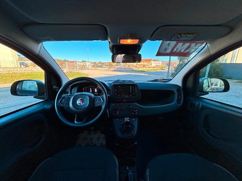 FIAT Panda 3ª serie Panda 1.0 FireFly S&S Hybrid