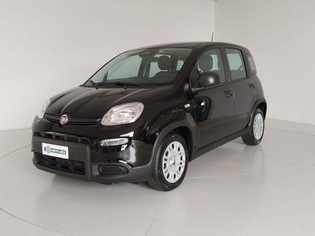 FIAT Panda 1.0 FireFly S&S Hybrid Pandina