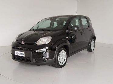 FIAT Panda 1.0 FireFly S&S Hybrid Pandina