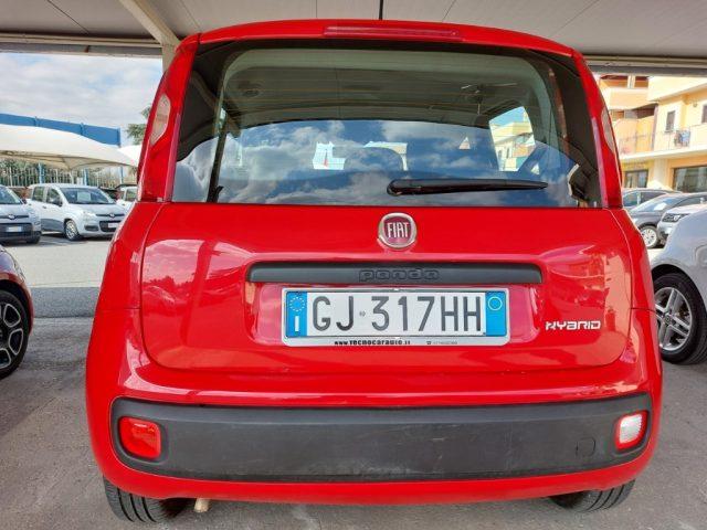 FIAT Panda 1.0 FireFly S&S Hybrid Aziendale 5 posti Fatturabi