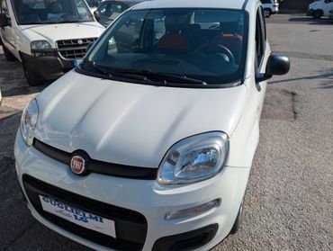 Fiat Panda 1.2 EasyP Gpl neopatentati 69cv