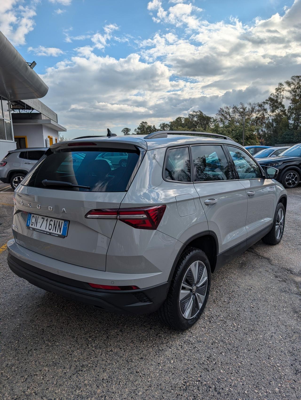 Skoda Karoq 2.0 Tdi 115Cv DSG Executive
