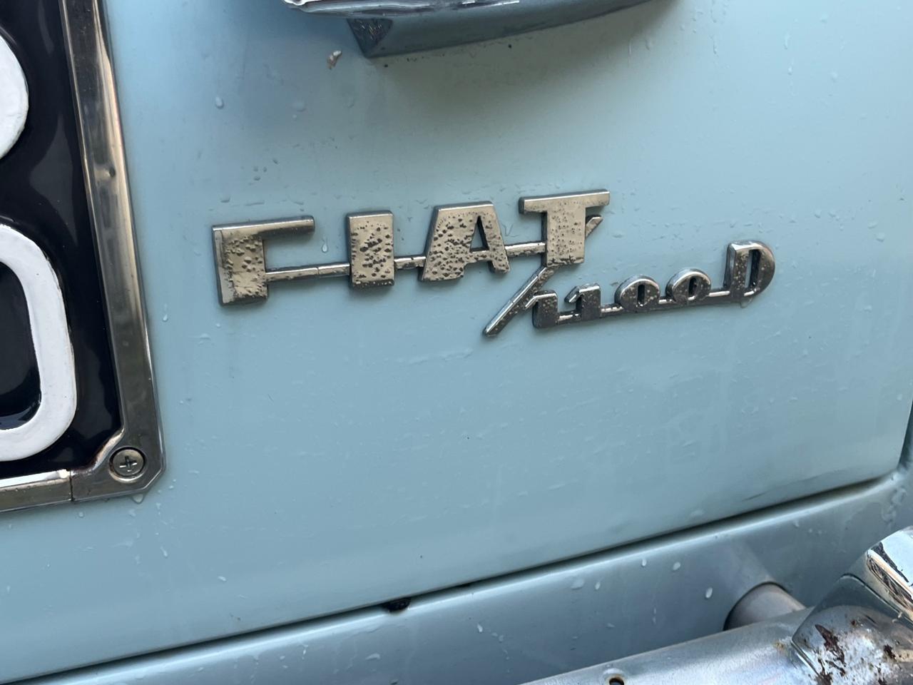 Fiat 1100 D 1100D