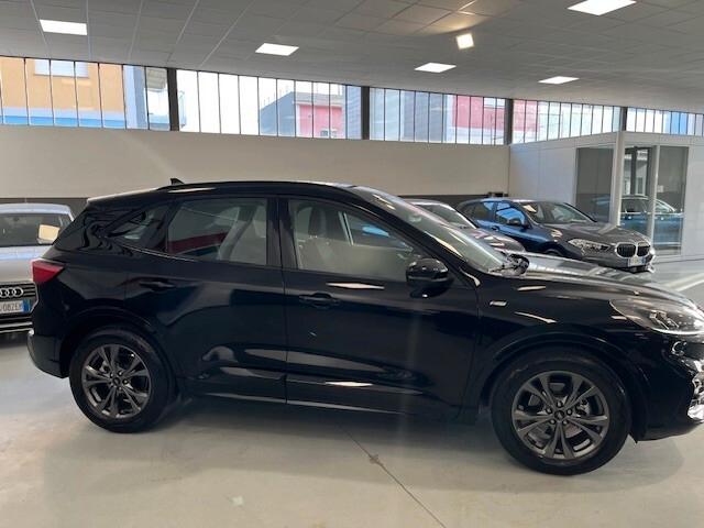 Ford Kuga 1.5 EcoBlue 120 CV 2WD ST-Line