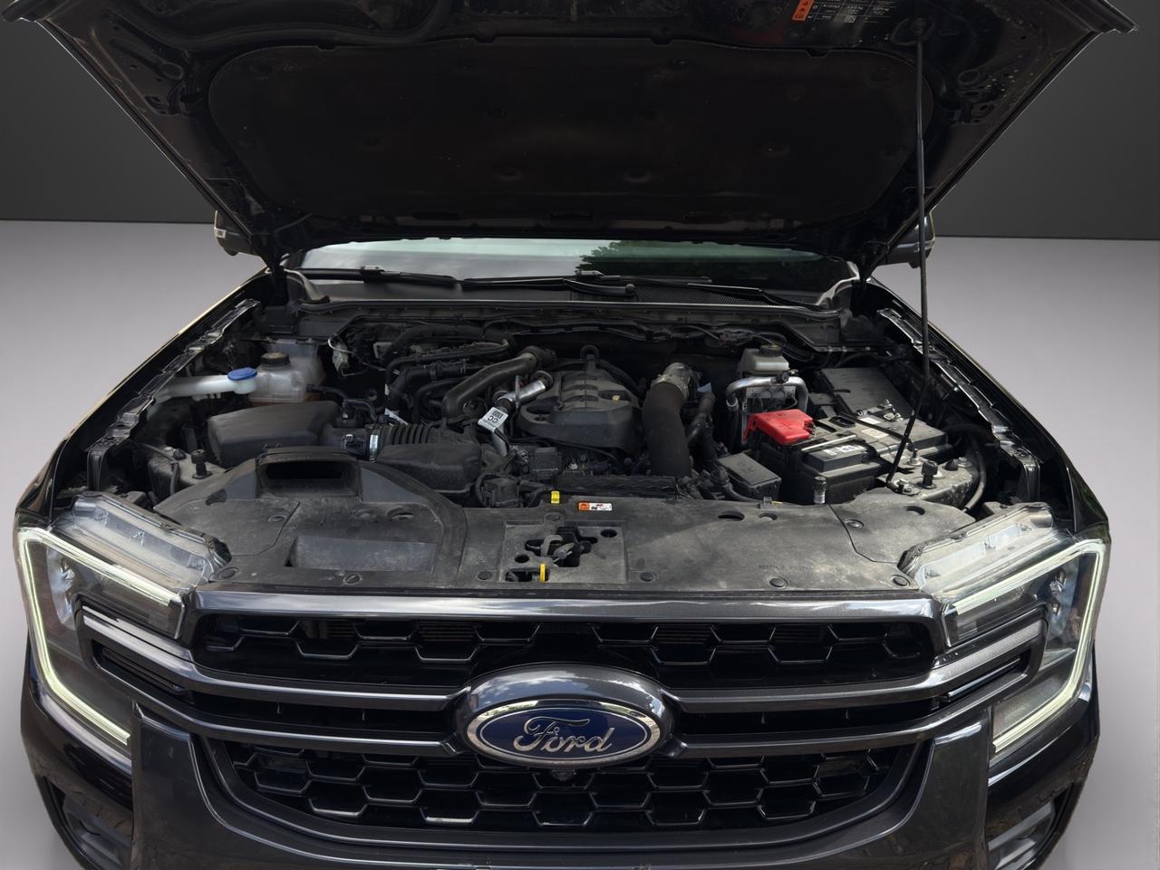 Ford Ranger 2.0 ECOBLUE aut. 205 CV DC Wildtrak 5 posti