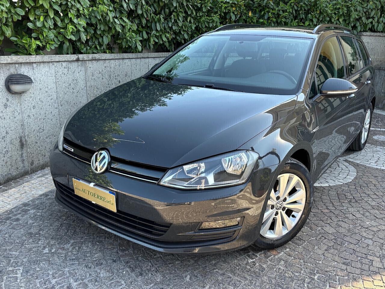 Volkswagen Golf ws 1.4 TGI BlueMotion