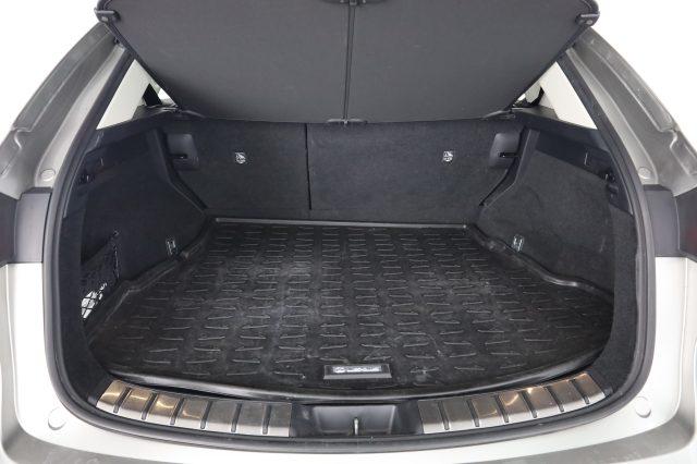 LEXUS Other NX NX Hybrid 4WD Premium +