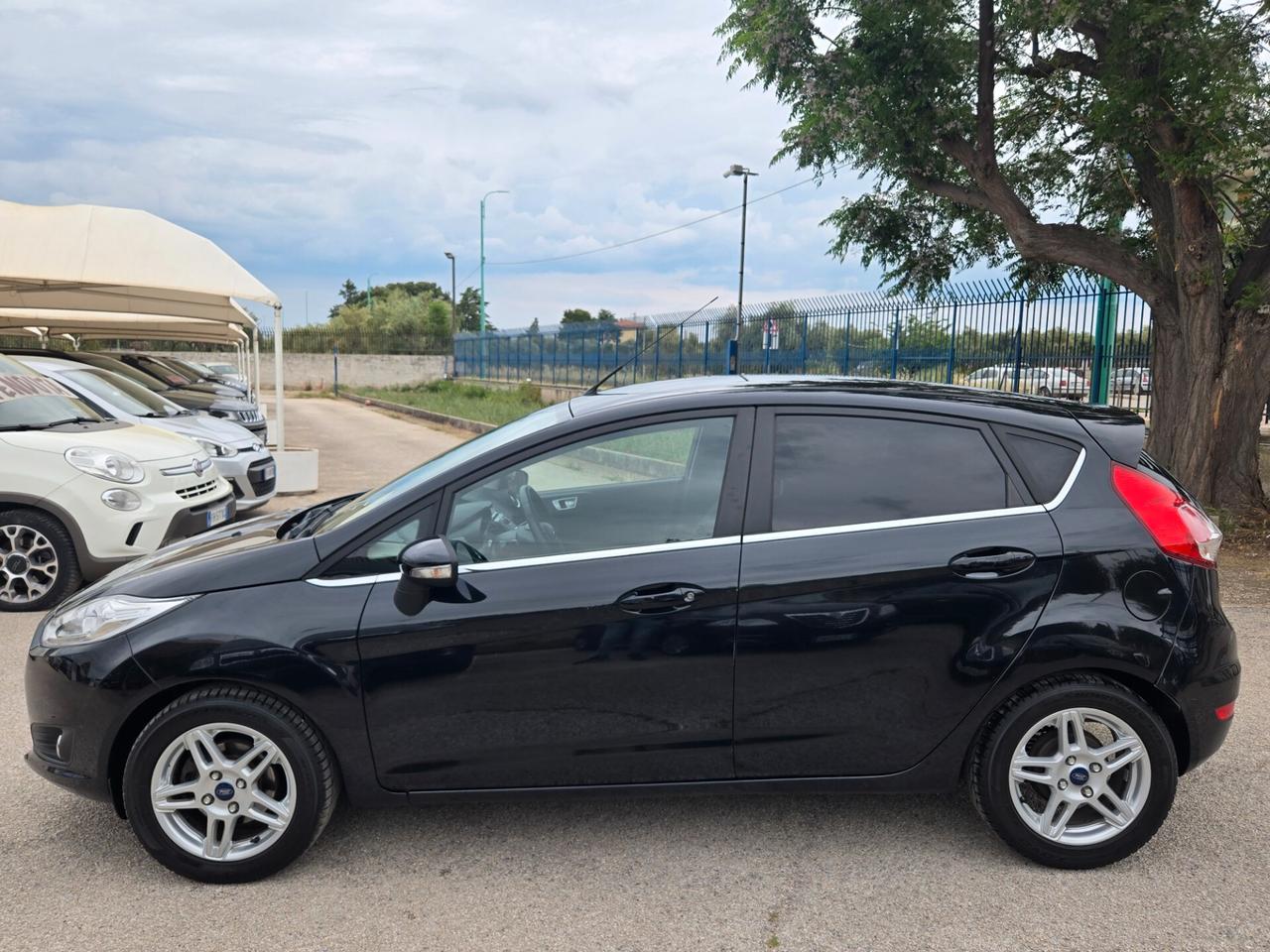 Ford Fiesta 1.5 TDCi 75CV 5 porte Titanium del 2013