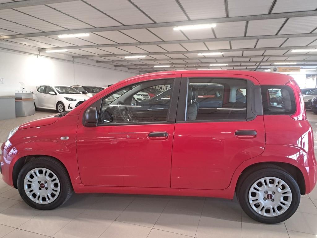 FIAT Panda III 2021 - Panda 1.0 firefly hybrid s&s 70cv