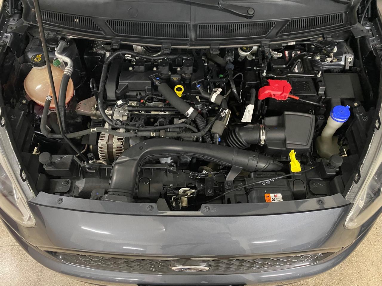 Ford Ka+ 1.2 85cv Start&Stop Active - 12/2019