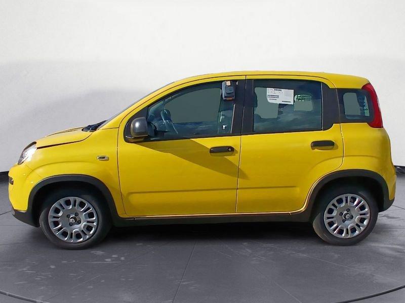 FIAT Panda NEW 1.0 70cv Hybrid Panda