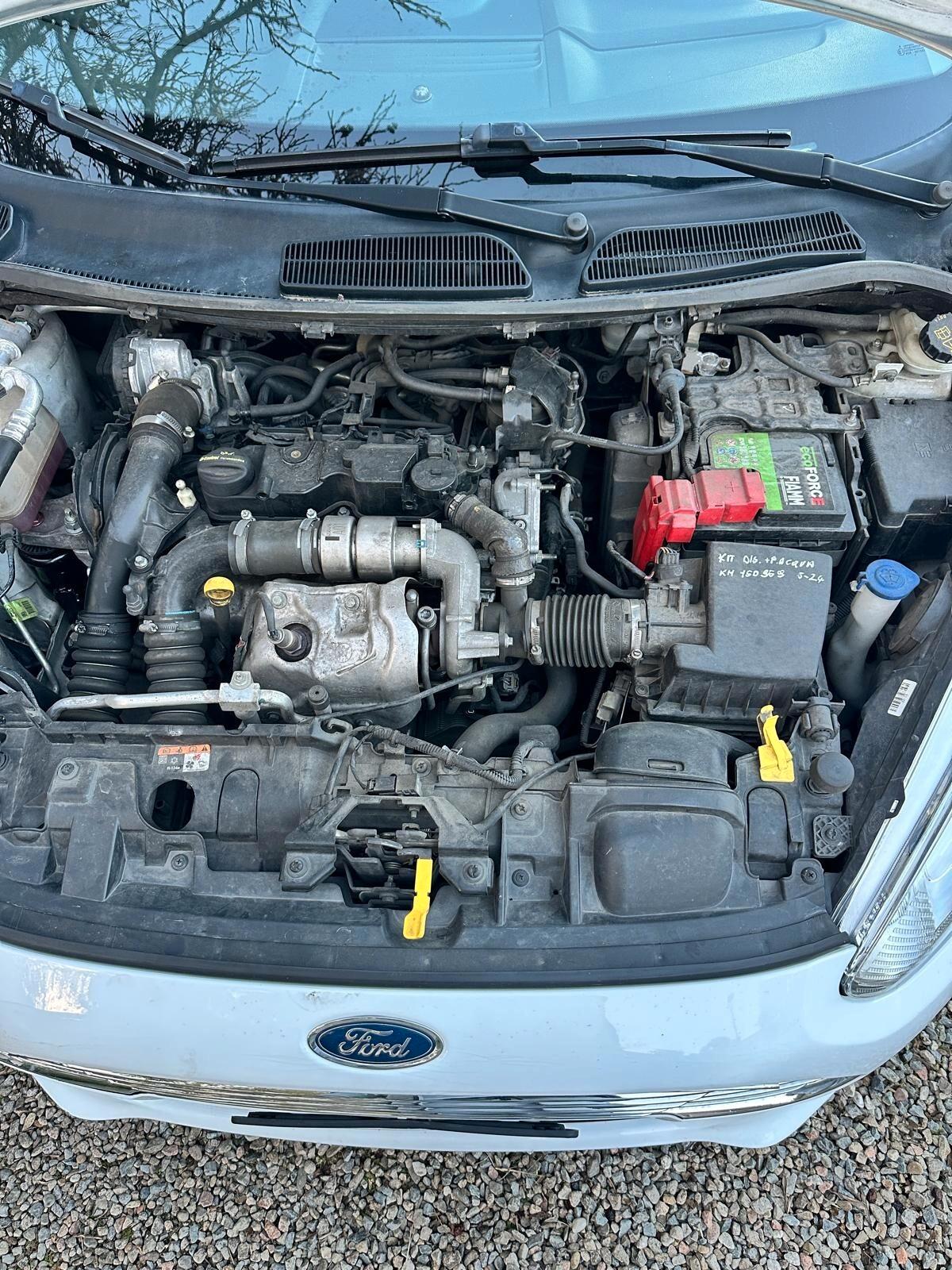 Ford Fiesta 1.5 TDCi 75CV 5 porte Titanium