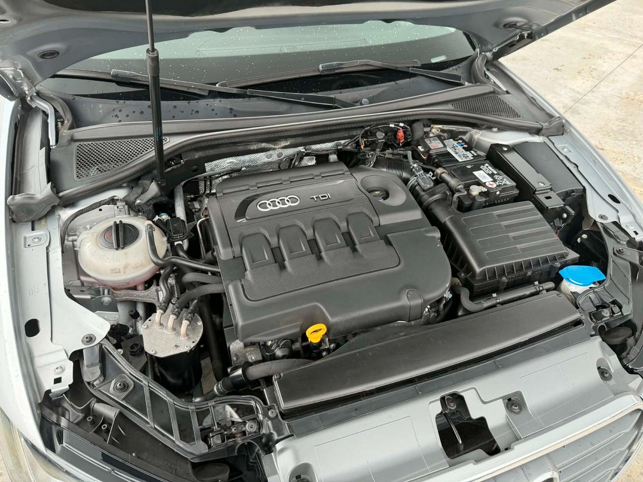 Audi A3 1.6 TDI 110 CV -3 PORTE- LEGGI NOTE