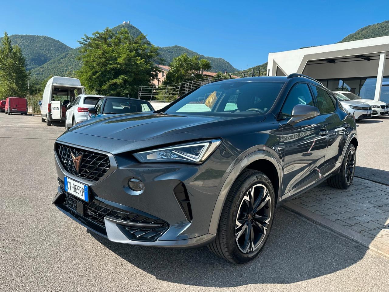Cupra Formentor 2.0 TDI 4Drive DSG