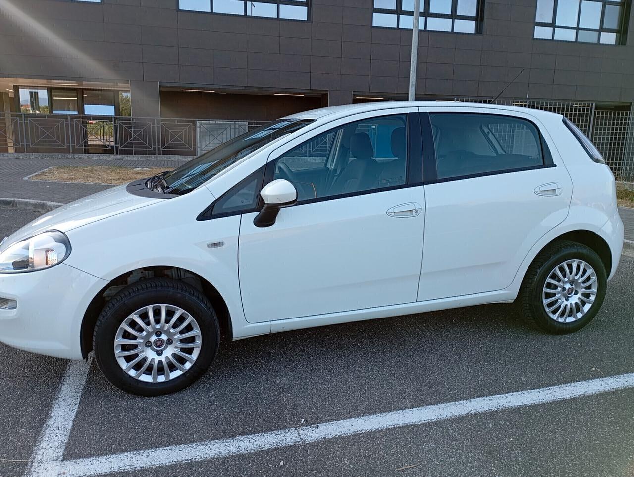 Fiat Punto 1.4 8V 5 porte Natural Power Street