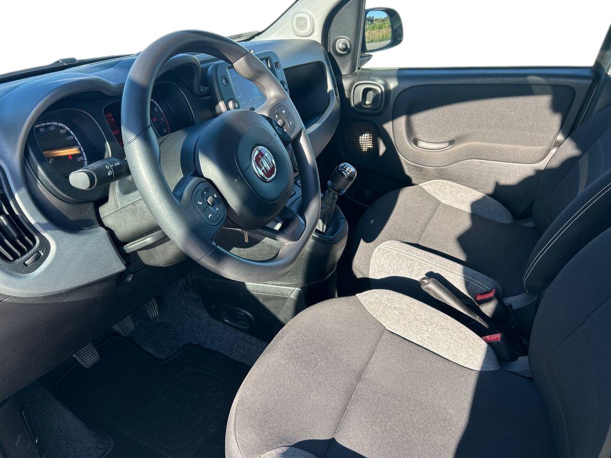 FIAT Panda 3ª serie - Panda 1.0 FireFly S&S Hybrid City Cross