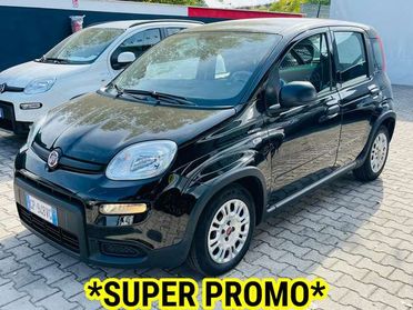 Fiat Panda Panda 1.0 firefly S&S PRONTA CONSEGNA SUPER PROMO