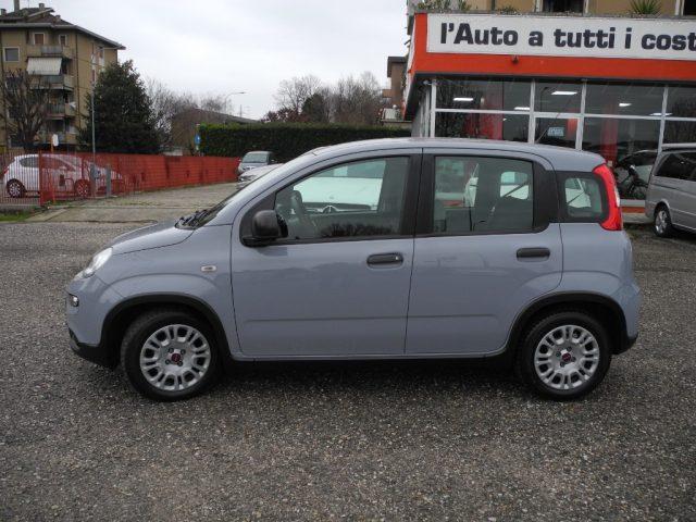 FIAT Panda 1.0 FireFly S&S Hybrid City Life - OK NEOPATENTATI
