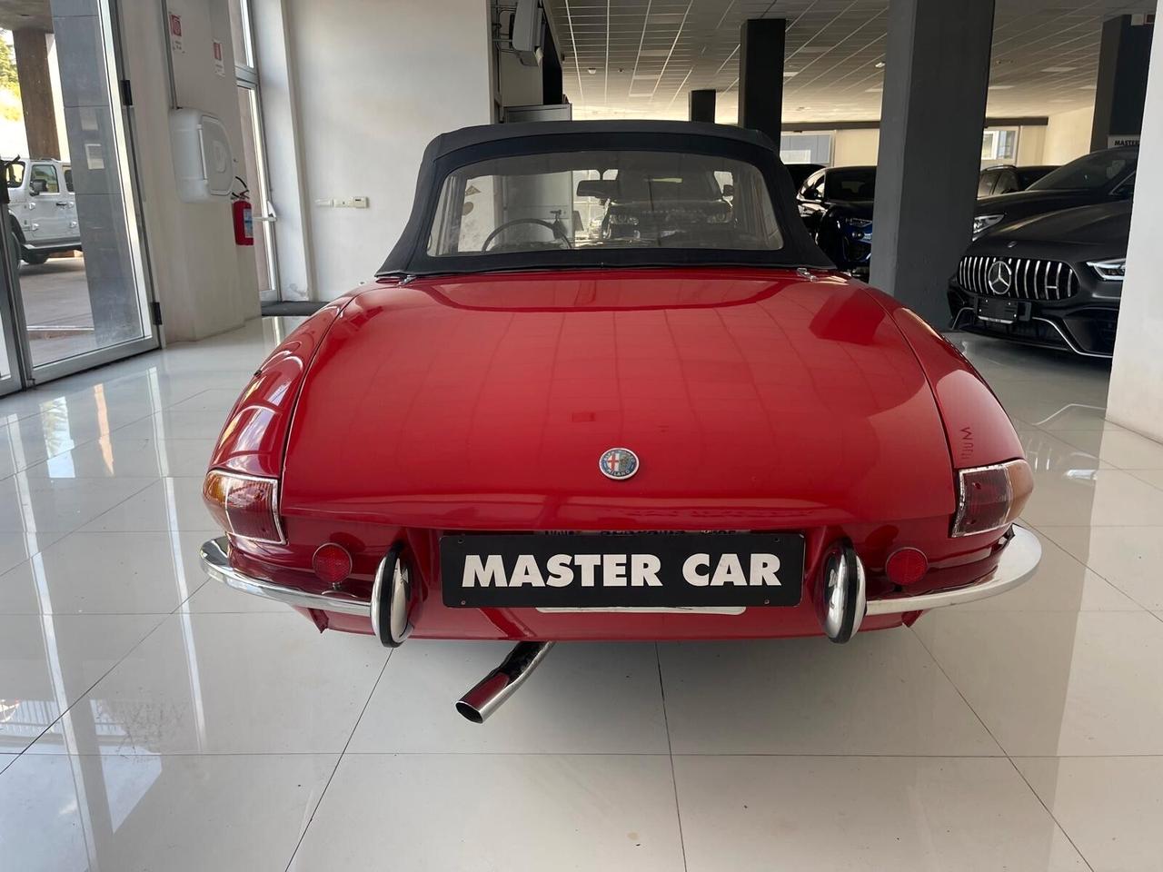Alfa Romeo Spider duetto osso di seppia