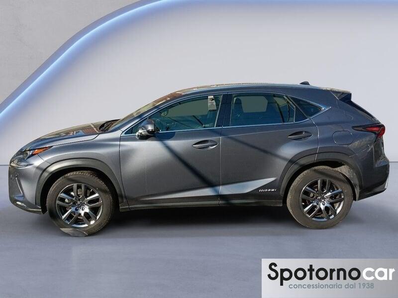 Lexus NX NX Hybrid 4WD Business