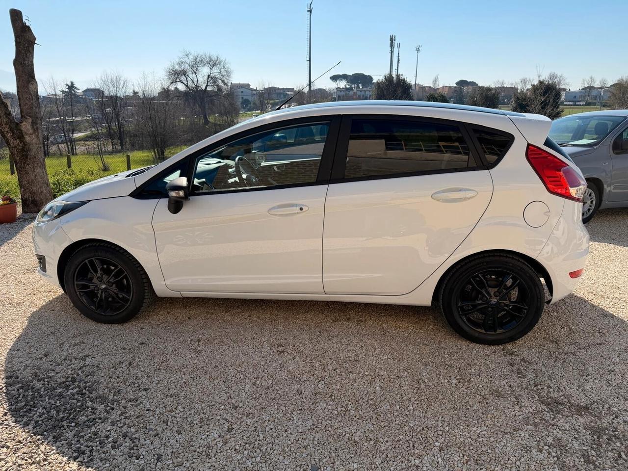 Ford Fiesta Cambio Automatico Black & White