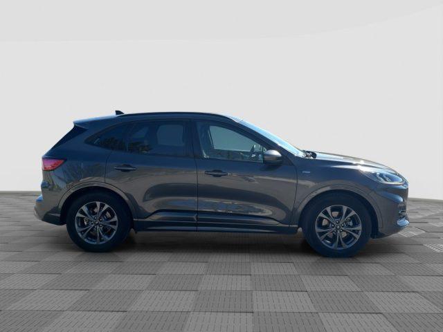 FORD Kuga Kuga 1.5 EcoBlue 120 CV aut. 2WD ST-Line