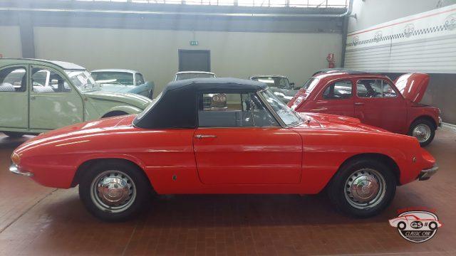 ALFA ROMEO Spider Duetto osso di seppia 1.3