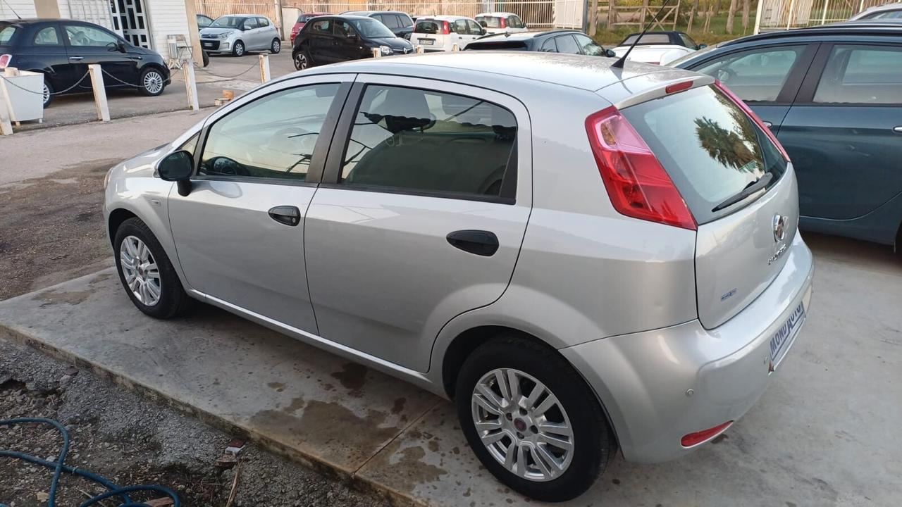 Fiat Punto 1.2 8V 5 porte Street 2015