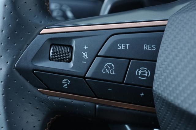 CUPRA Leon 2.0 TDI 150 CV DSG