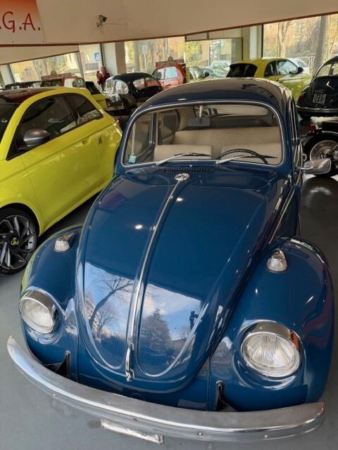 Volkswagen Beetle .