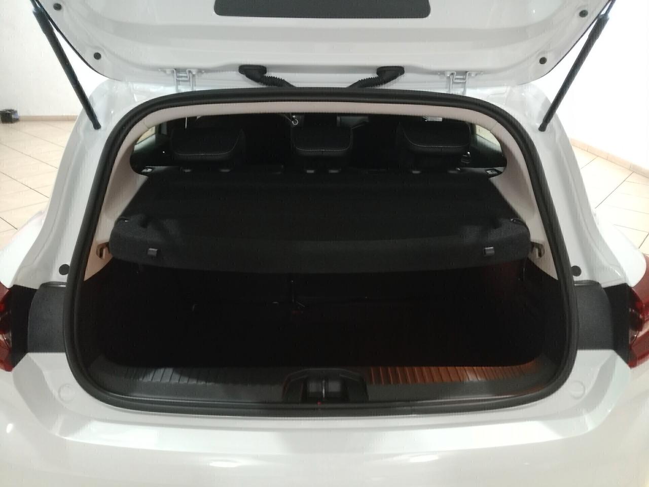 Renault Clio Blue dCi 85 CV 5 porte Business