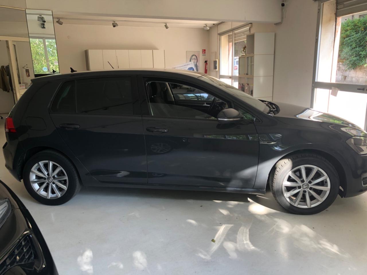 Volkswagen Golf 1.6 TDI 110 CV 5p. Sport Edition BlueMotion Technology