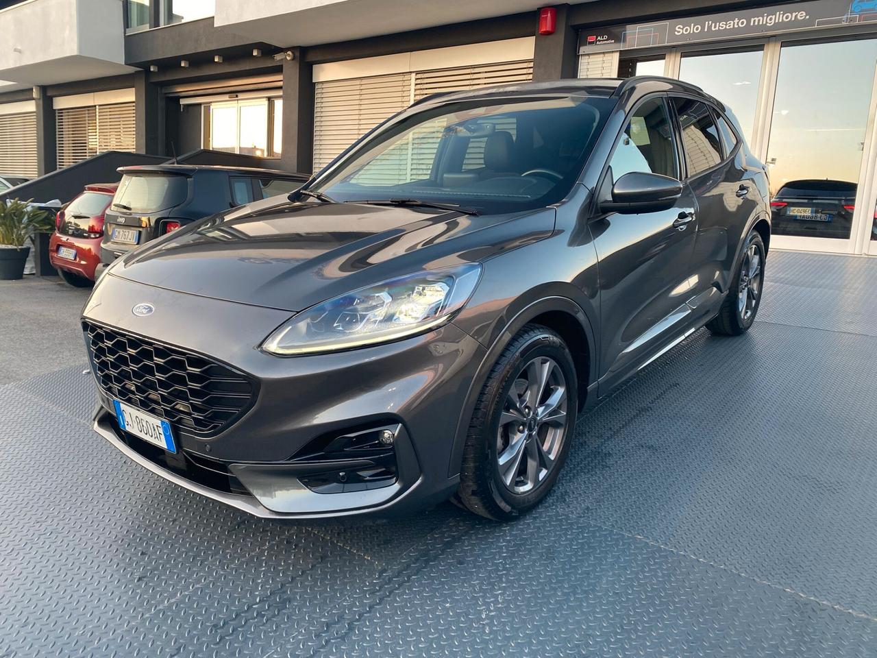 Ford Kuga 1.5 EcoBlue 120 CV aut. 2WD ST-Line X