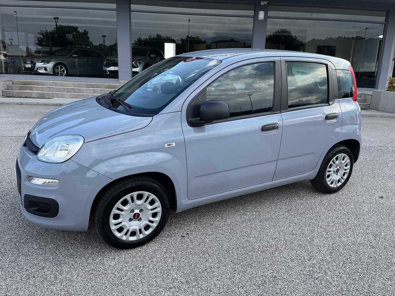 FIAT PANDA 1200 CC 69 CV EASY