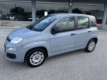FIAT PANDA 1200 CC 69 CV EASY