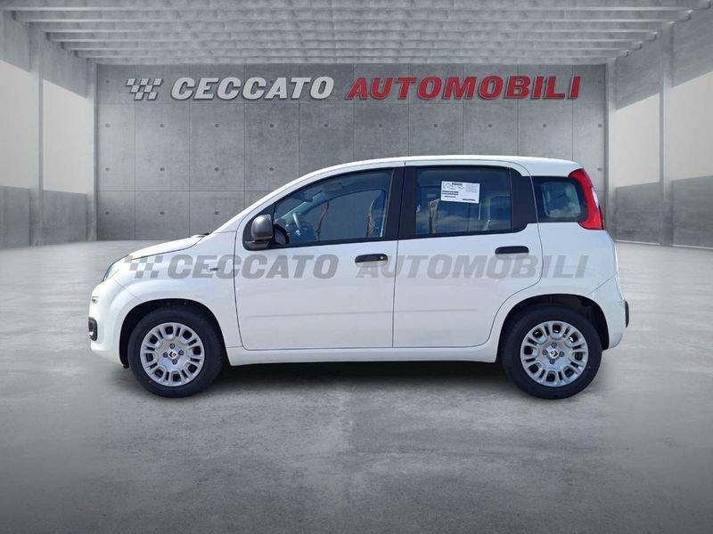 FIAT Panda Panda 1.0 firefly hybrid s&s 70cv