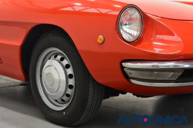 ALFA ROMEO Spider 1300 JUNIOR OSSO DI SEPPIA ASI TARGA ORO