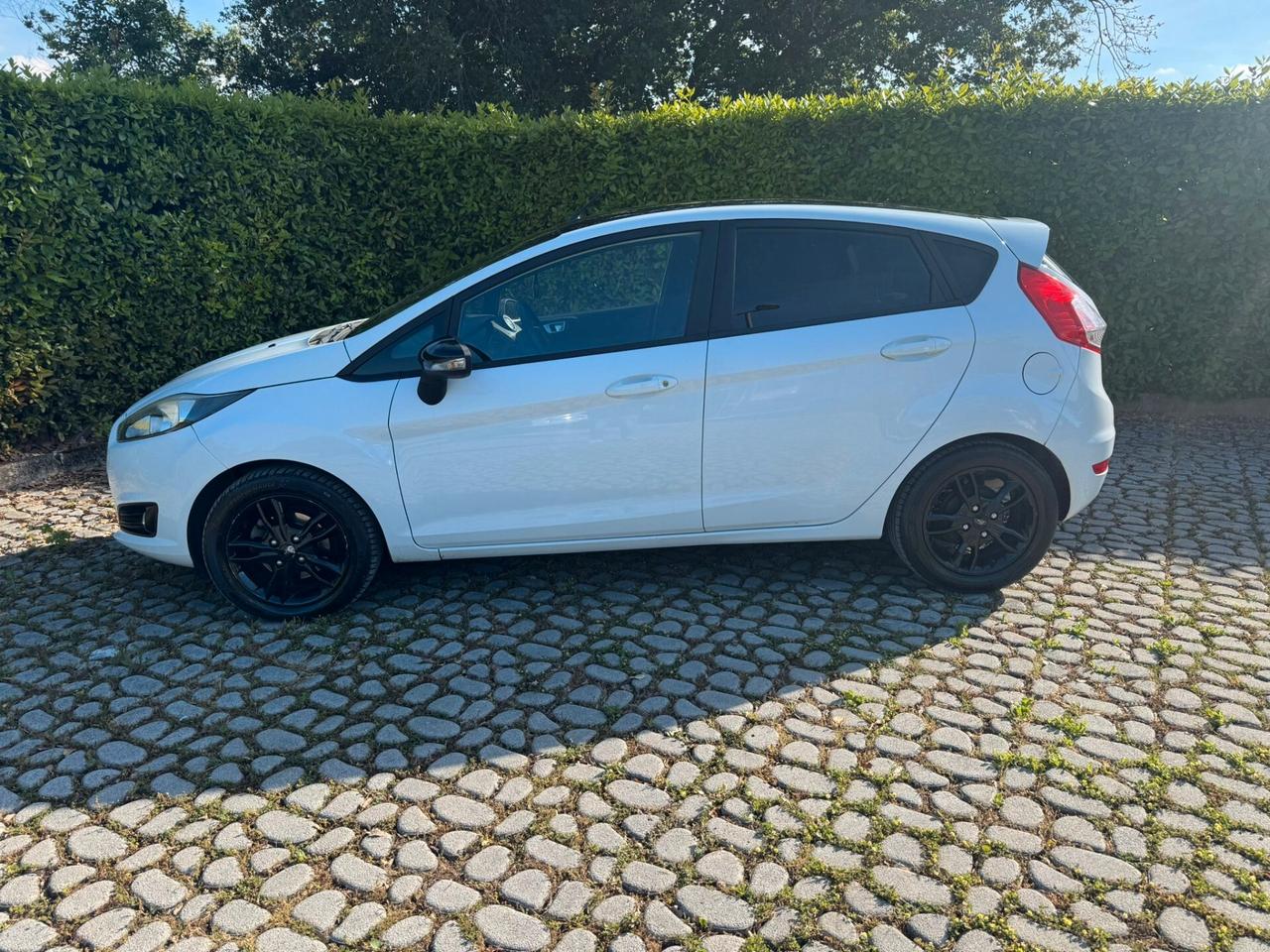 FORD Fiesta 1.5TDCi 75CV 5 porte ST-Line - 2017